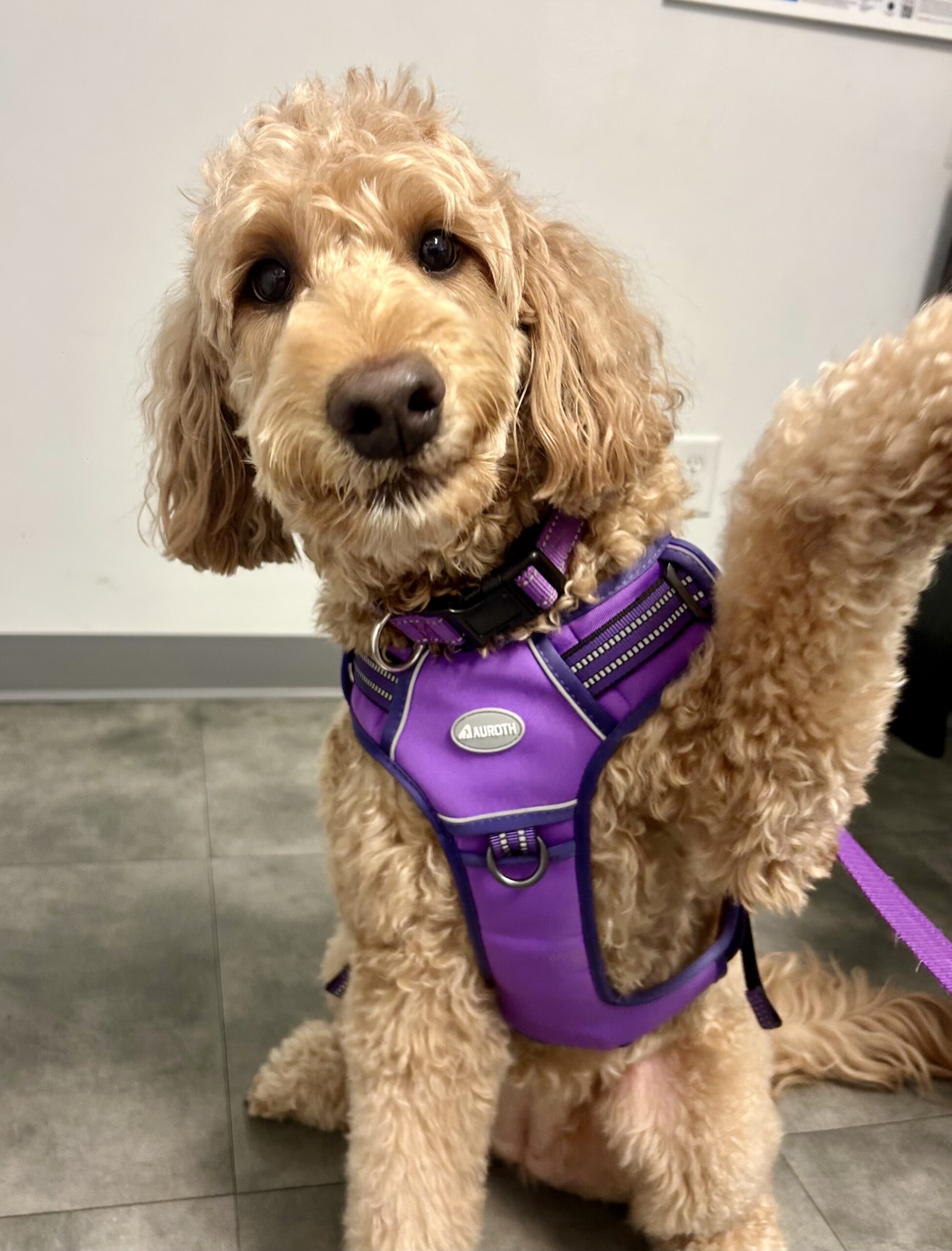 Appointment Policies